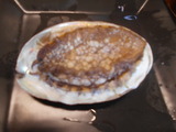 DSCN2482
