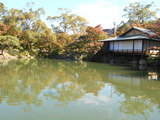 DSCN7627