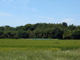 DSCN2940