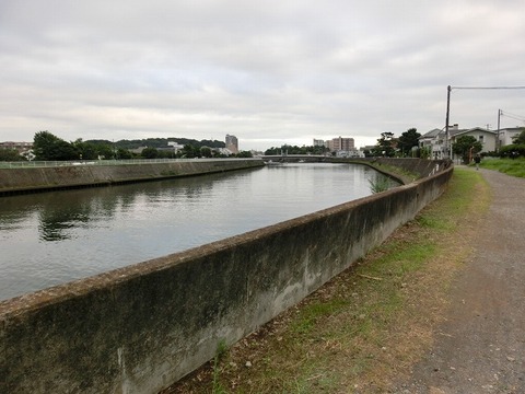 CIMG0442