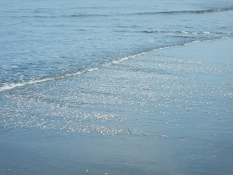 DSCN2189