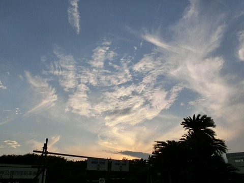 CIMG0320