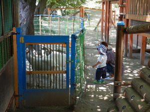 DSCN0007