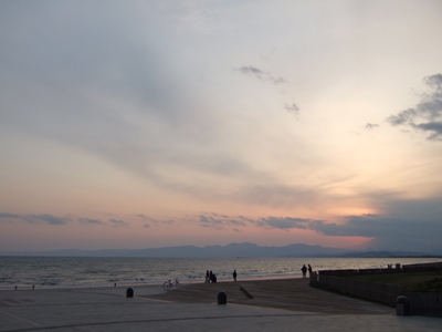 2d2d5978.jpg
