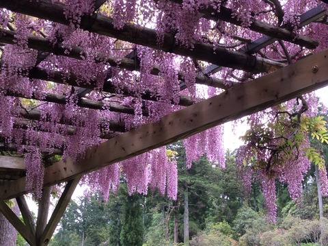 image2 (1)