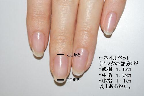 ネイルベッド