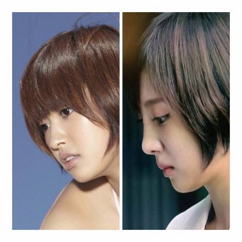 夏菜鼻