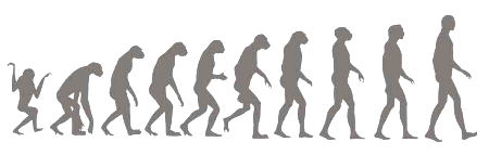 evolution (1)
