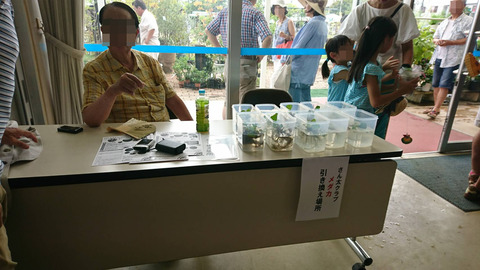 IMG_1981-1