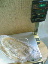 080611takay-2