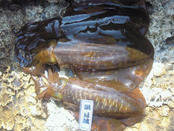 2012051913500000