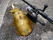 20120523 005