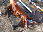 20120507 004