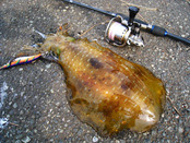 20120513 002
