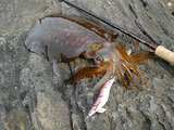 080611takay