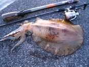20120519 003