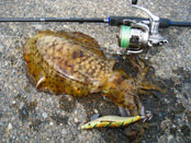 20111002 005