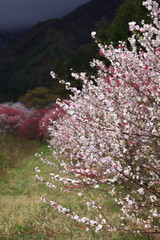 c1f20e66.jpg