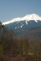 ca3a07e8.jpg