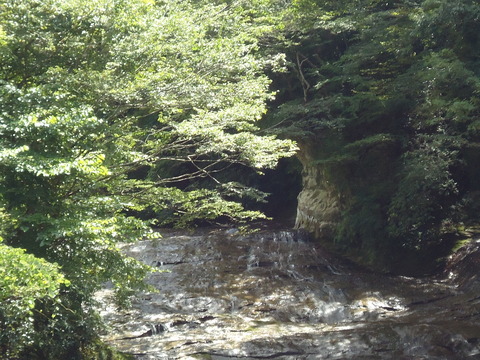 DSC00466