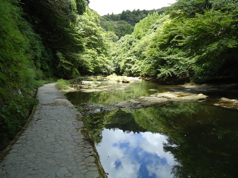 DSC00473