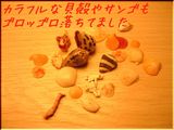 ¥«¥é¥Õ¥ë¤Ê¥µ¥ó¥´¡¦³³Ì¤¬¥´¥í¥Ã¥´¥í¤·¤Æ¤Þ¤·¤¿