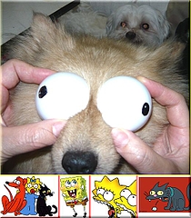 PONtaMeMe