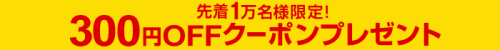 coupon_ttl300