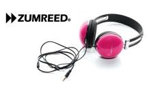 2015_01_17_ZUMREED_big_V3