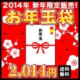 FUKU2014_MX