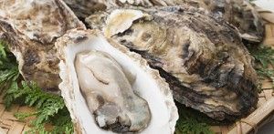 o0400026711276911026