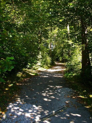 PA033396