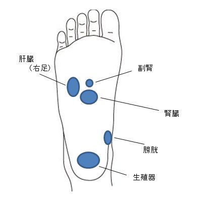 つぼ 膀胱 足