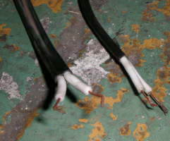 2009-11-21_antenna09