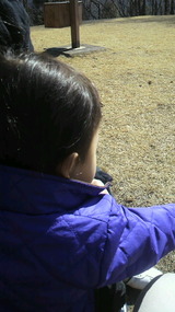 4f00e046.jpg