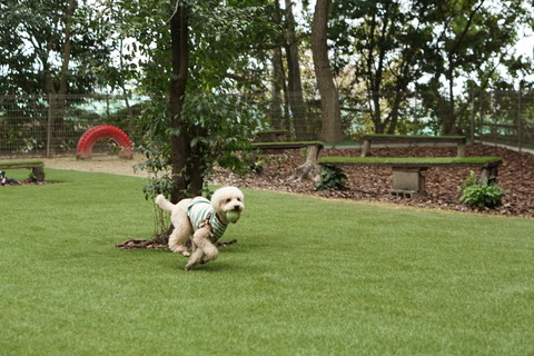 DSC00602