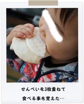 離乳食219日目