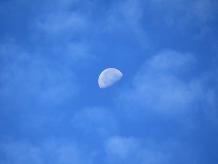 IMG_3014