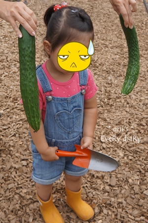 畑