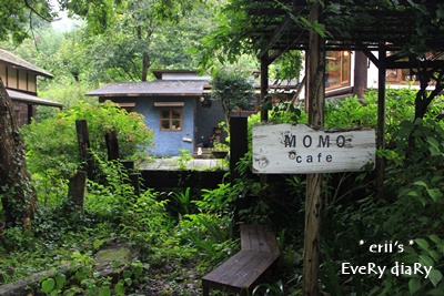 MOMO cafe