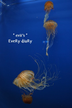 水族館