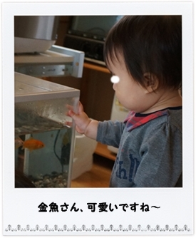 離乳食200日目