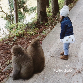 野猿公苑