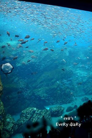 水族館
