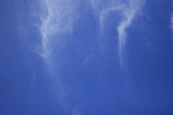 7a795e6f.JPG