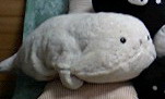 まろでしっ