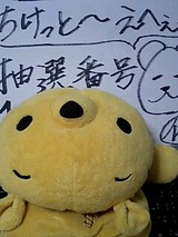 ※注 くーま、おしりが縫われていますよ。