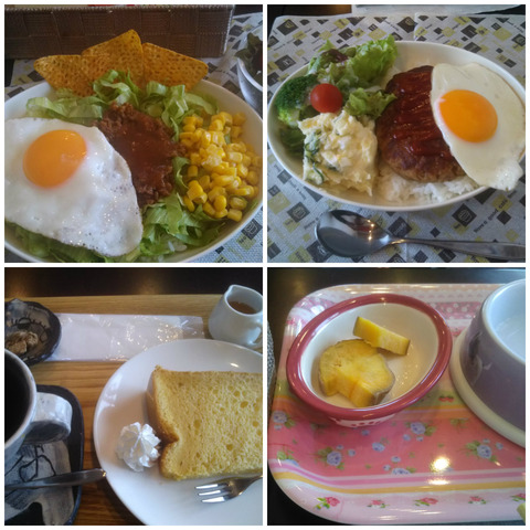 ドッグカフェランチ