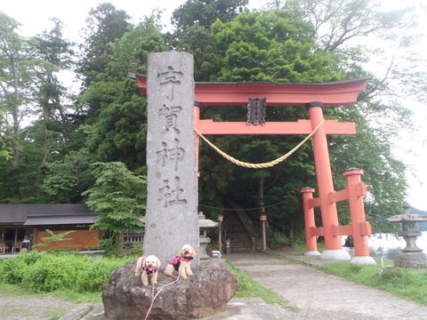 P7300176