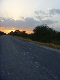 P1030242